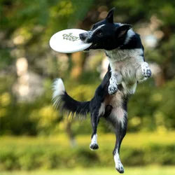Discos voladores para perros – Resistentes a mordeduras y entrenamiento