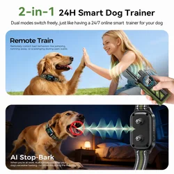 Collar de entrenamiento para perros con mando a distancia impermeable