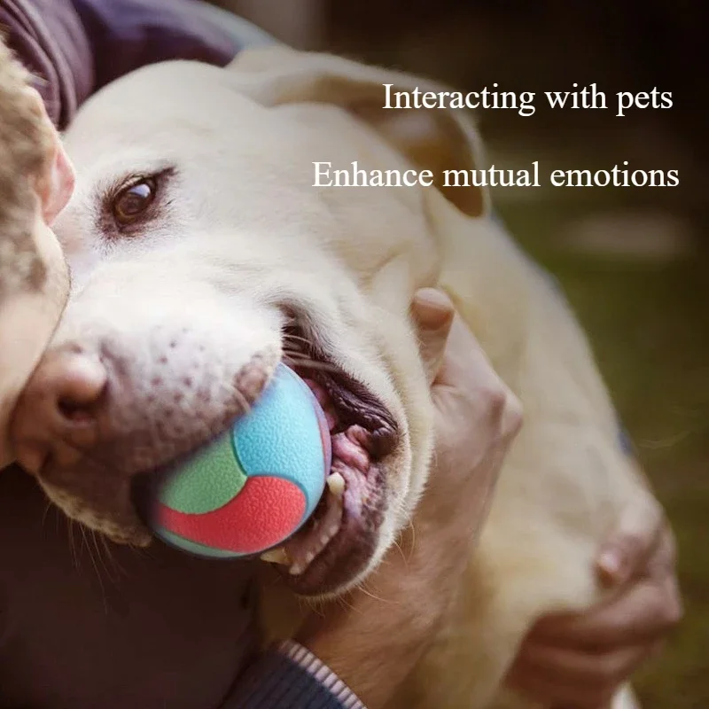 Pelota elástica resistente a las mordeduras para mascotas, para perros, para aliviar el aburrimiento, moler los dientes, masticar, disfrutar jugando con los juguetes para perros - imagen 4