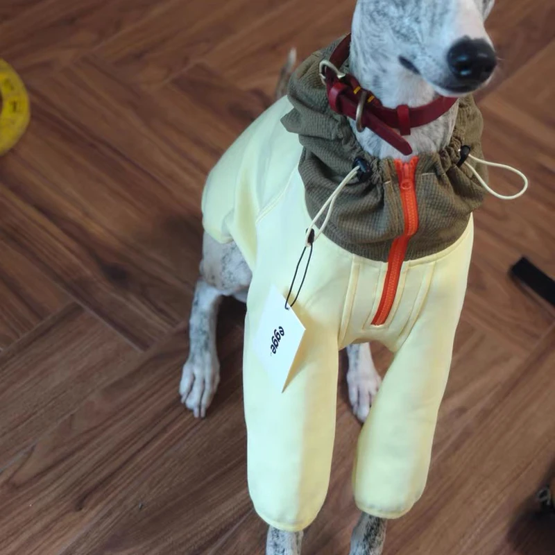 Chaqueta con capucha ajustable de dos patas de otoño para sudadera de moda de galgo italiano con cremallera para perros Whippet de medios pequeños - imagen 5