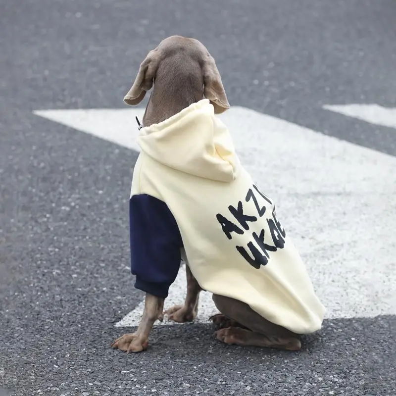 Primavera otoño 2 patas Patchwork perro grande Sudadera con capucha perro Golden Retriever Labrador trajes disfraz de moda para perros medianos y grandes - imagen 5
