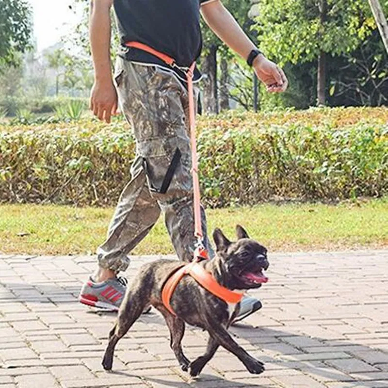 Correa doble manos libres reflectante - imagen 4