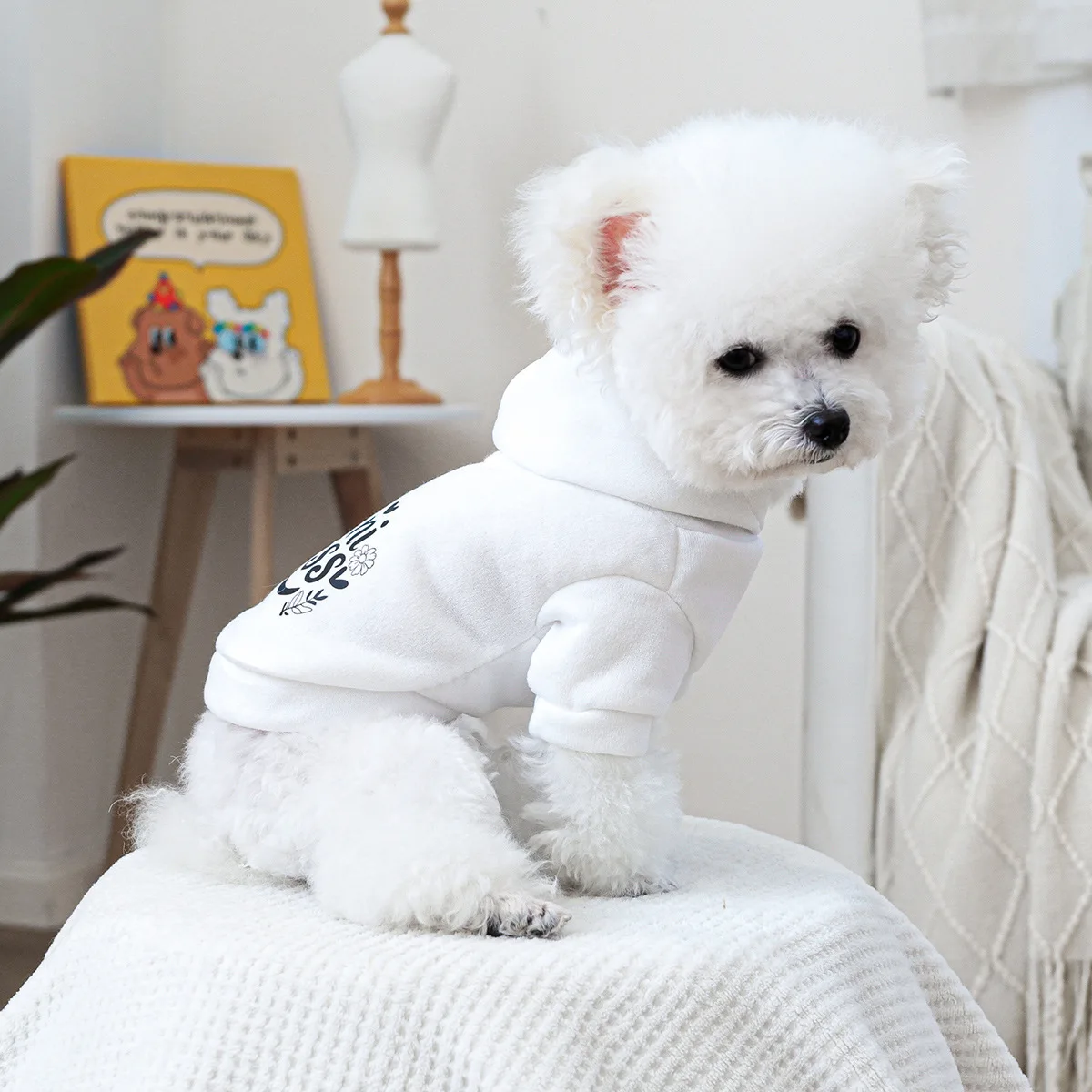 Sudadera con capucha para mascotas, ropa de bolsillo bonita para perros y gatos, sudadera blanca con sombrero, ropa para perros pequeños, Otoño e Invierno - imagen 2