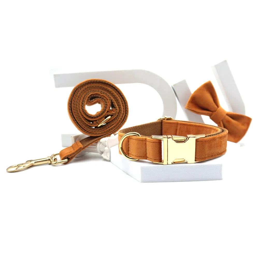 bow collar leash