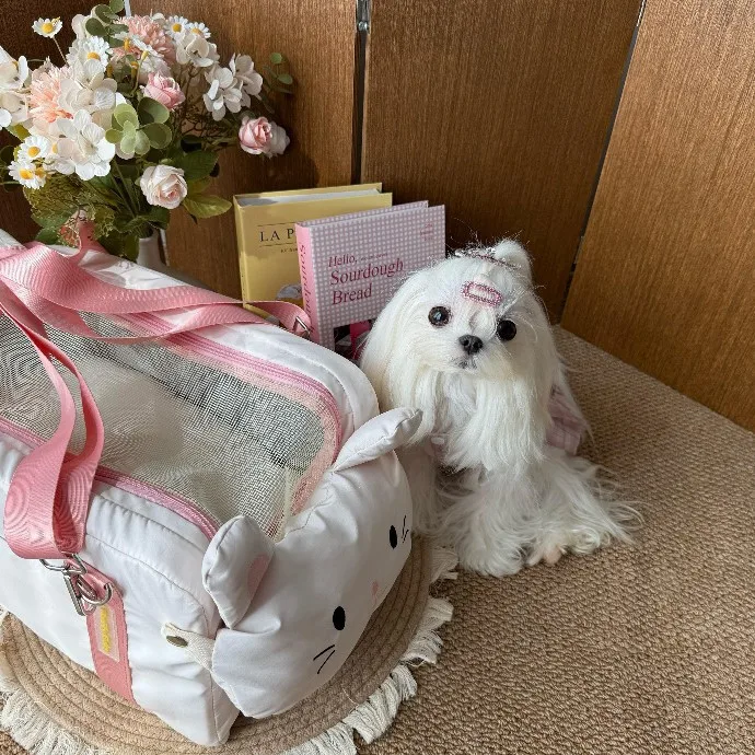 Transportín para gato bolso bandolera ligero y cómodo para viajar - imagen 5
