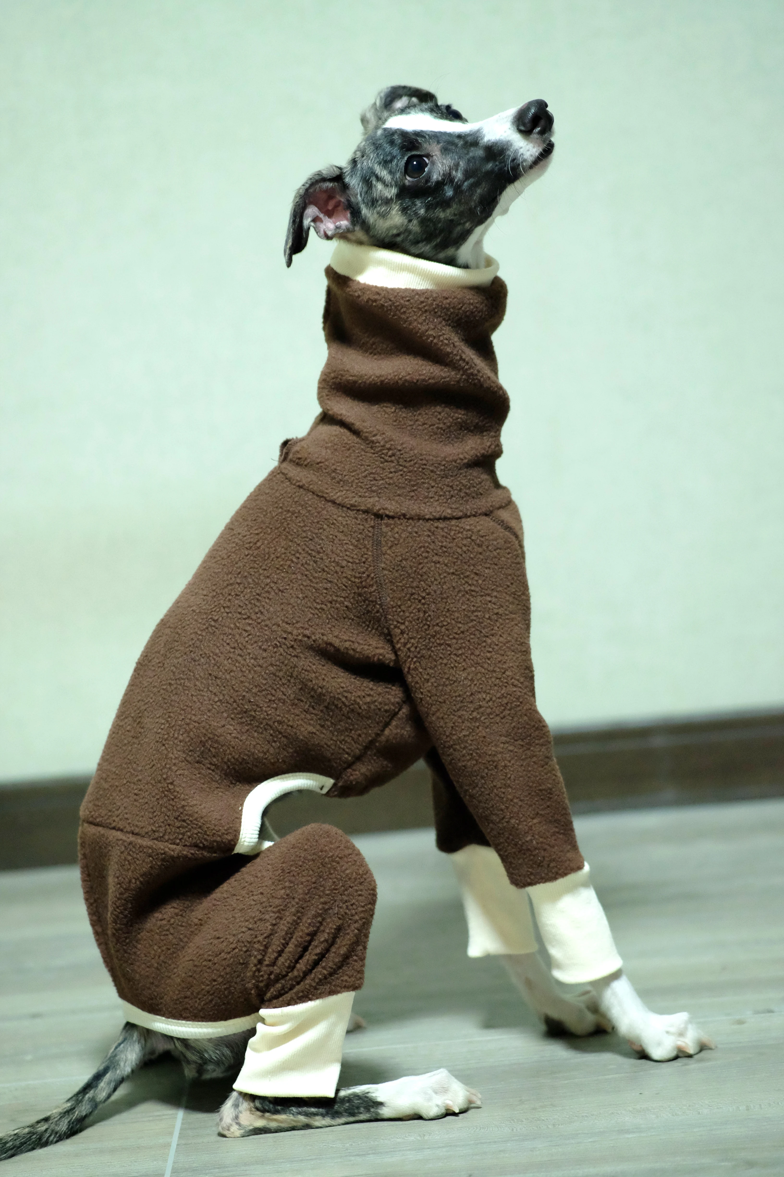 Ropa de invierno galgo italiano mono whippet/ropa para perros/Grishound Jammies/sudadera whippet - imagen 3