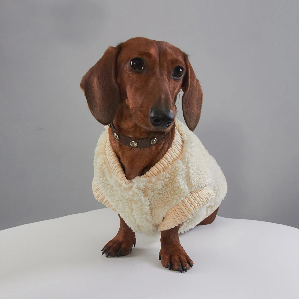 Chaqueta de sudadera de lana para perros Wiener, chaleco blanco cálido de invierno de manga corta para perros de tejón Dachshund en clima frío