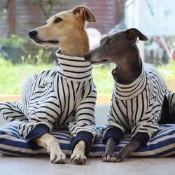 Abrigo de algodón de 4 patas para primavera y otoño, ropa de descanso suave para galgo, sudadera a rayas para perro Whippet, mono de cuello alto Bellington