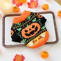 Halloween Sweater 