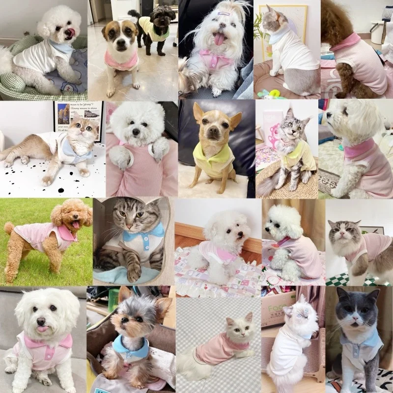 Polo de verano para mascotas, ropa a la moda para perros, chaleco transpirable para cachorros, camiseta lisa para gatos, ropa para mascotas, chaleco para perros York Chihuahua - imagen 2