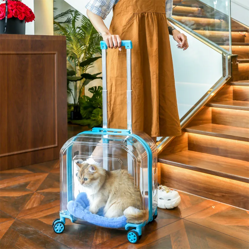 Mochila transparente cápsula espacial con ruedas para perros y gatos - imagen 2