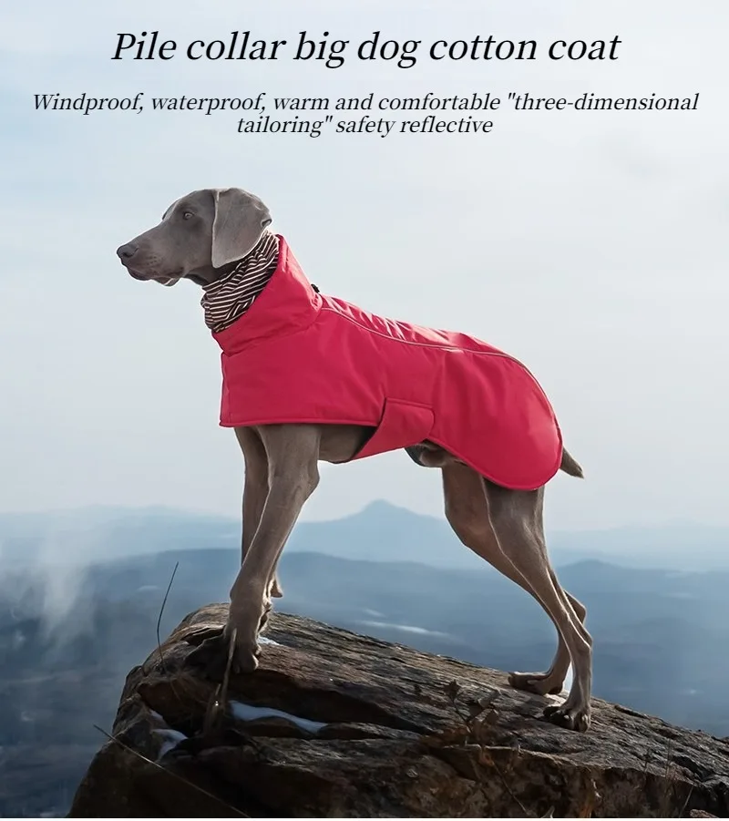 Chaqueta impermeable para perro grande