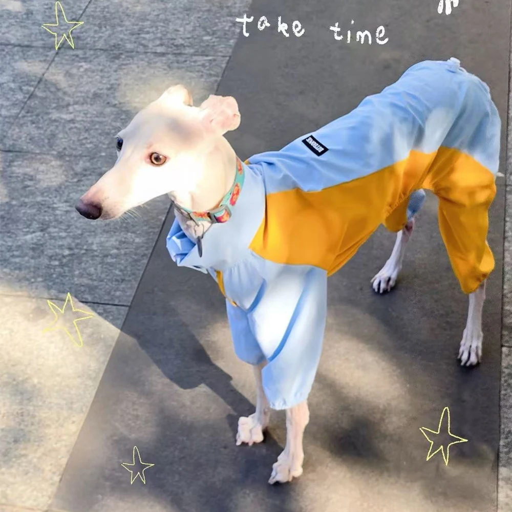 Chaqueta cortavientos azul-amarilla para galgo italiano, abrigo de 4 patas, sudadera suave para perros pequeños y medianos Whipbit - imagen 5