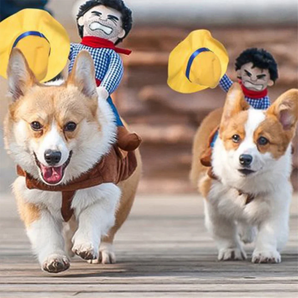 NONOR-ropa para fiesta de Halloween para perros, divertido vestido de vaquero, chaqueta, abrigos, Bulldog Francés, Chihuahua, disfraces para perros pequeños y grandes - imagen 4