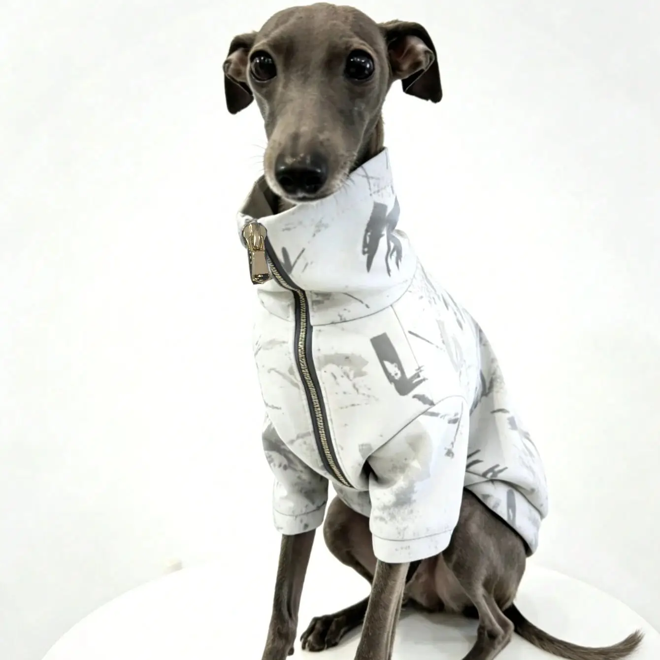 Ropa para perros galgo y whippet - abrigo calido y a prueba de viento - imagen 4