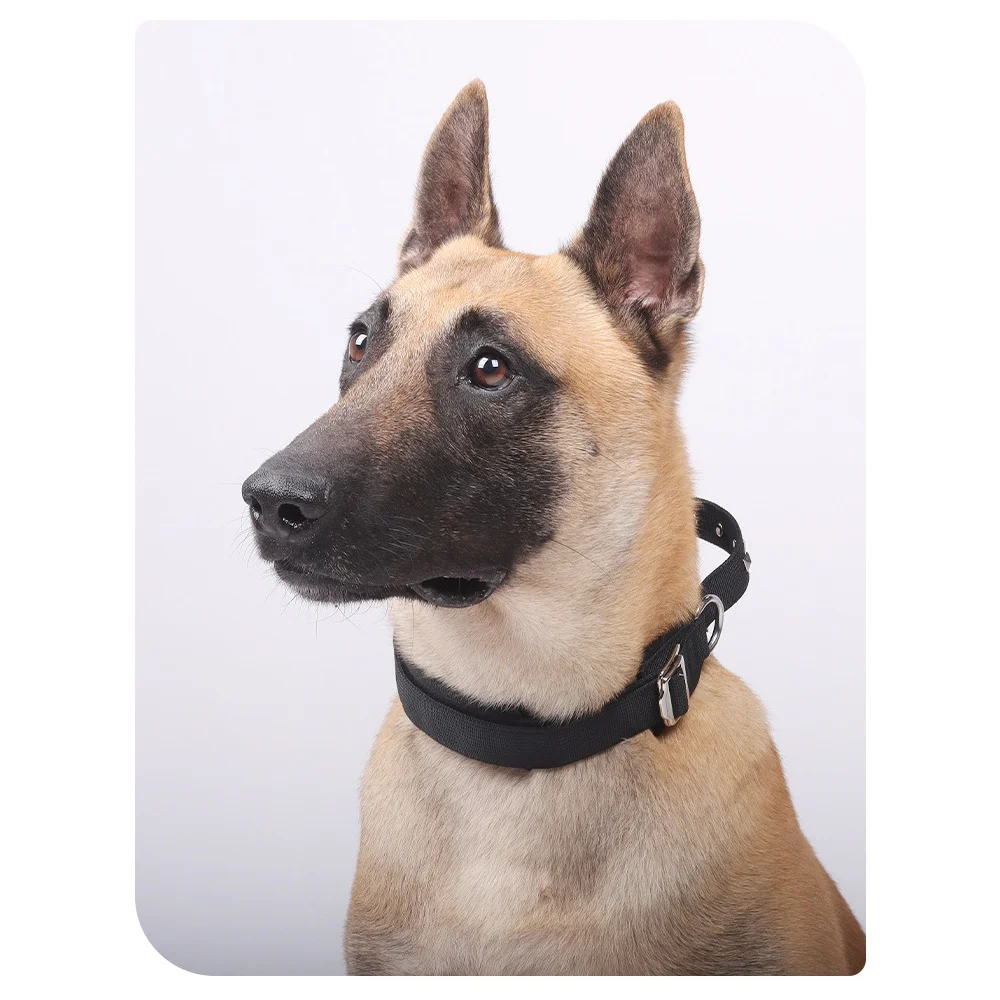 Collar táctico para perros de alta resistencia para razas grandes, juego de correa con tachuelas y anilla en D de Metal y mango, sin diseño de estrangulamiento - imagen 4