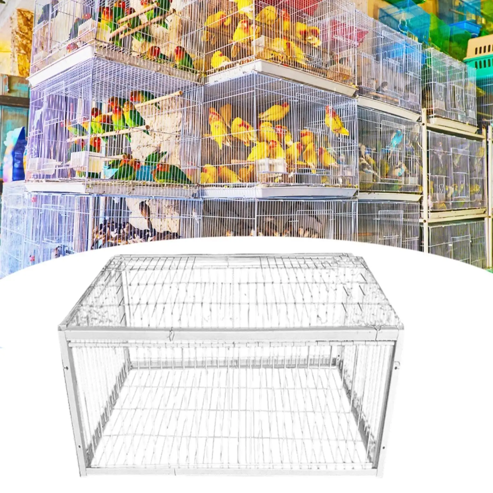 Pigeon Bird Cage Pigeon Coop Thickened Metal Welding Single Way Entry Automatic Pigeon Collector Chicken Cage for Warehouses