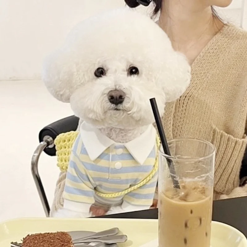 Camisa de primavera para perros, sudadera a rayas a la moda para perros, ropa para cachorros, Polo suave y bonito para gatos, jerséis para mascotas, ropa informal para perros