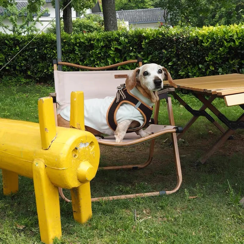 Camiseta de verano para perro Wiener, ropa, chaleco de manga corta gris suave para perro tejón, abrigo de tela fresco para perro salchicha en primavera - imagen 5