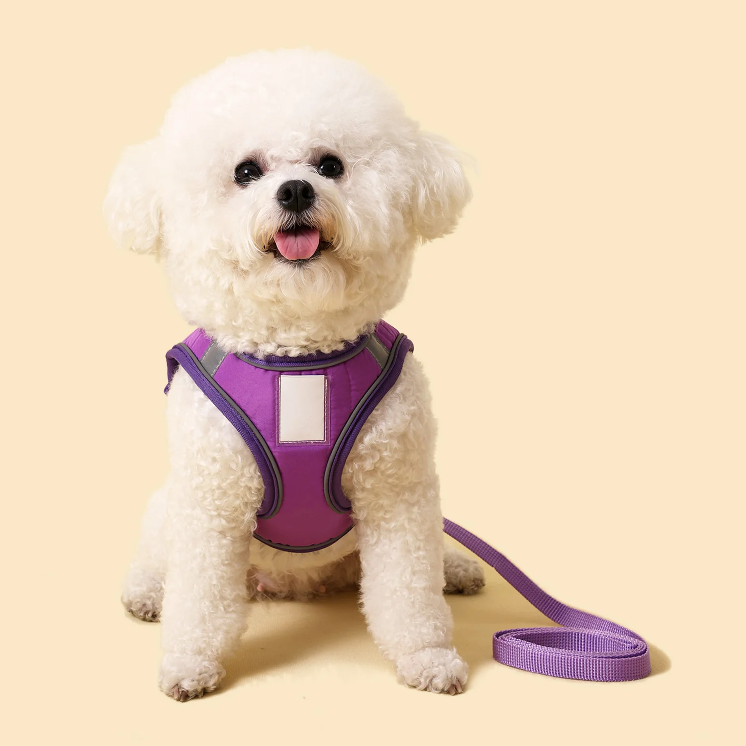 Arnés transpirable para perros pequeños, conjunto de correa de arnés reflectante ajustable para perros, accesorios cómodos para correa de gato con etiqueta de nombre - imagen 2