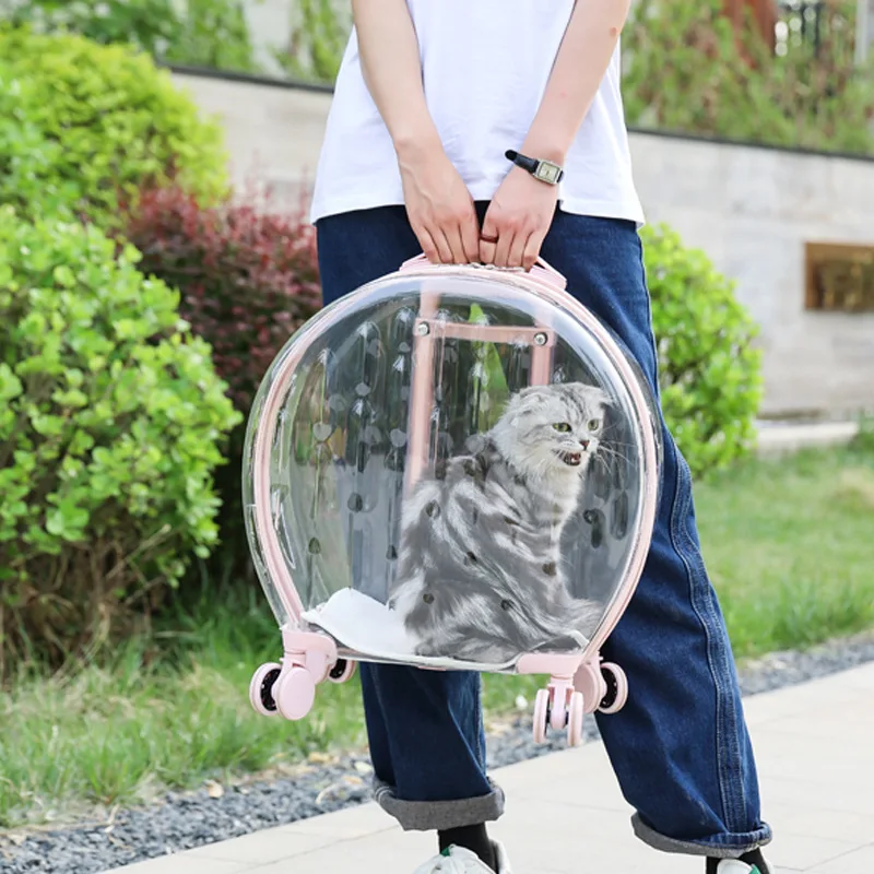 Transportín para gato transparente con ruedas, cómodo y ventilado