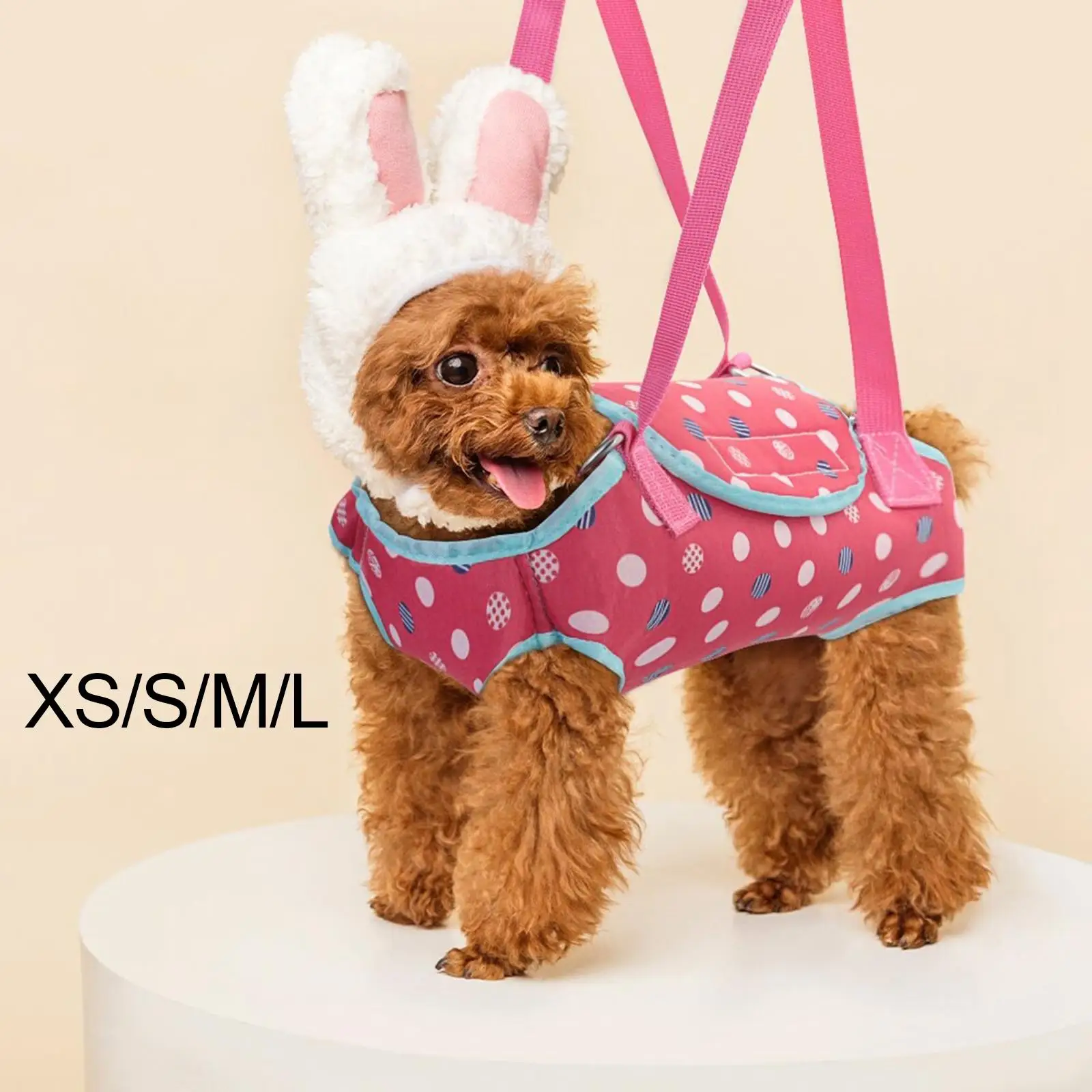 Hands Free Carrier Front Facing Breathable Pet Slings Bag Handbag Pouch for Rabbit Cats Small Medium Dogs Hiking Motorcycle