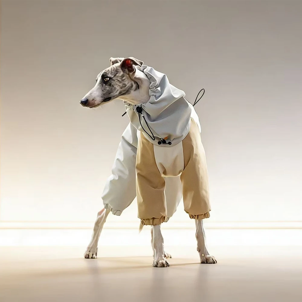 Chaqueta impermeable para perros pequeños y medianos con cuello alto - imagen 2