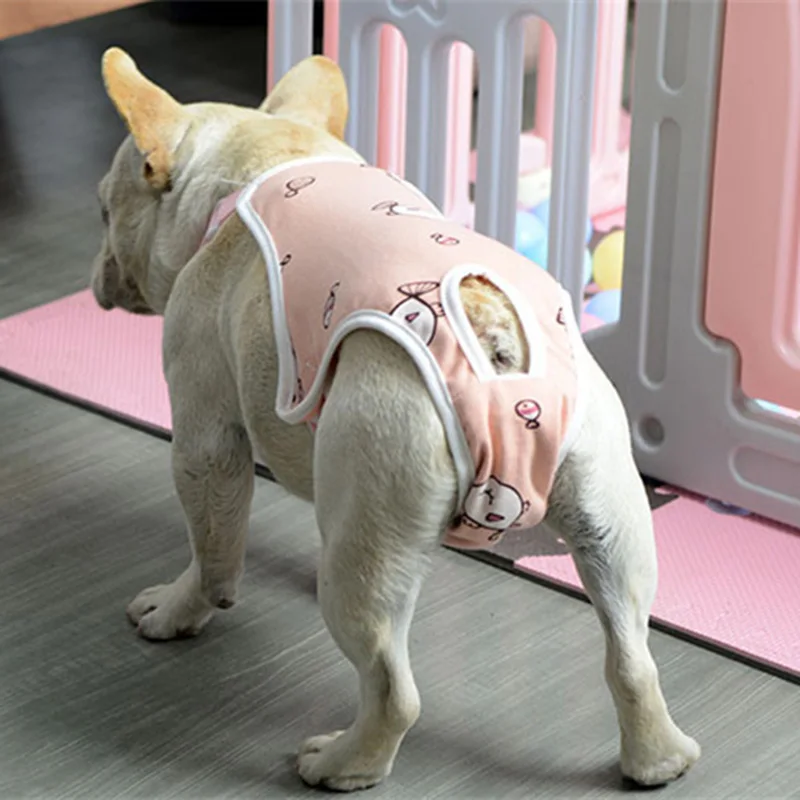 Pantalones fisiológicos con correa para el hombro para mascotas, ropa interior lavable para perros, pantalones cortos de seguridad para mascotas, Bulldog francés ajustable - imagen 4
