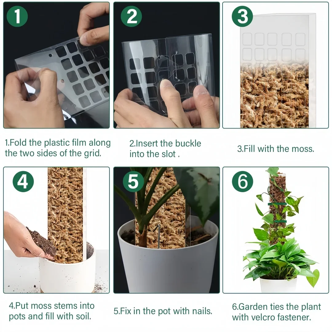 Poste de musgo de 24 pulgadas para plantas, postes de soporte para plantas, palos para plantas en maceta para interiores, soporte para tren, plantas trepadoras para crecer hacia arriba, 2/4/6 Uds. - imagen 5