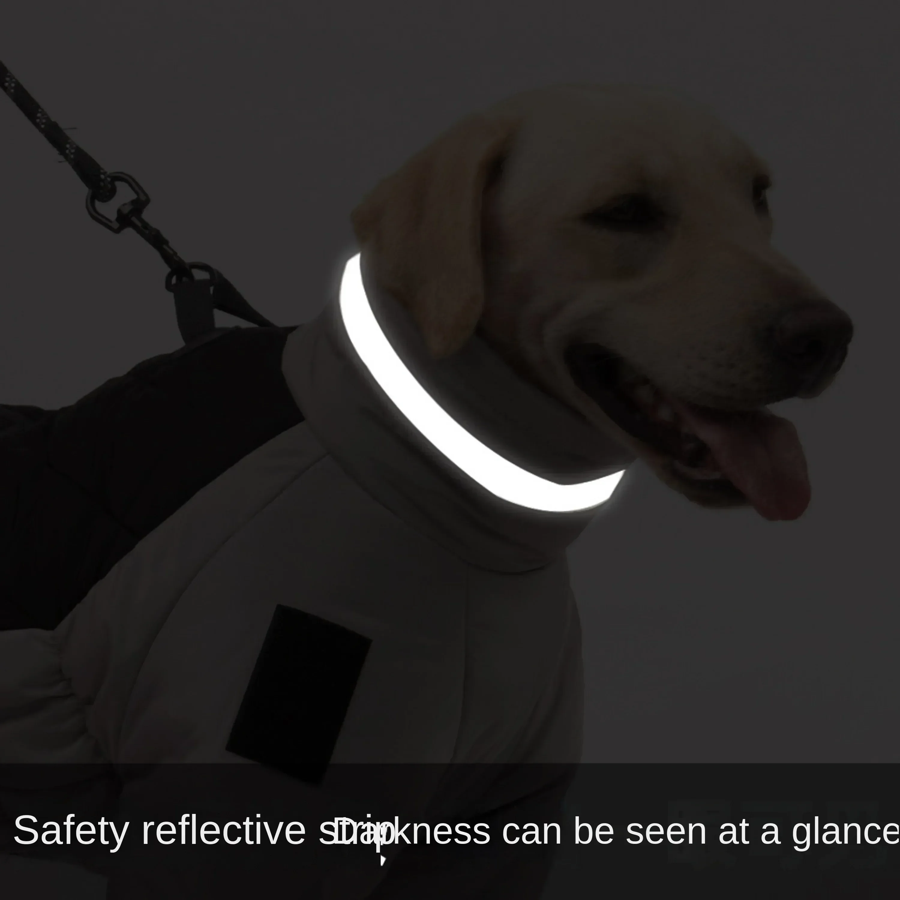 Ropa cálida reflectante para mascotas, chaquetas para perros grandes, ropa para exteriores, Otoño e Invierno - imagen 5