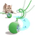 green cat ball
