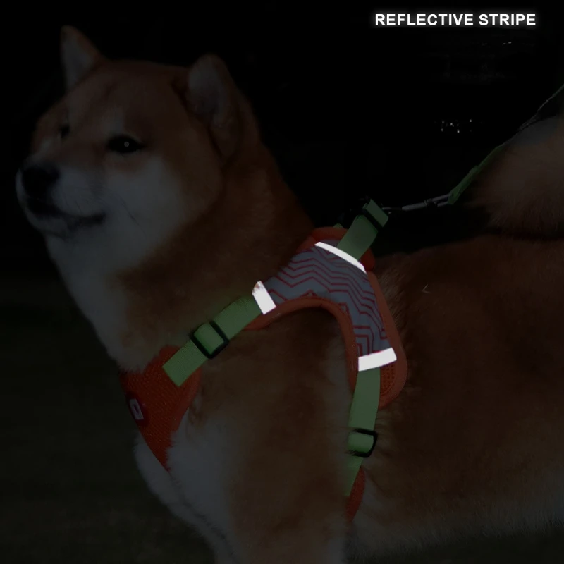Nueva cuerda de tracción para mascotas, correa reflectante transpirable para el pecho, cuerda para caminar para perros pequeños y medianos - imagen 4