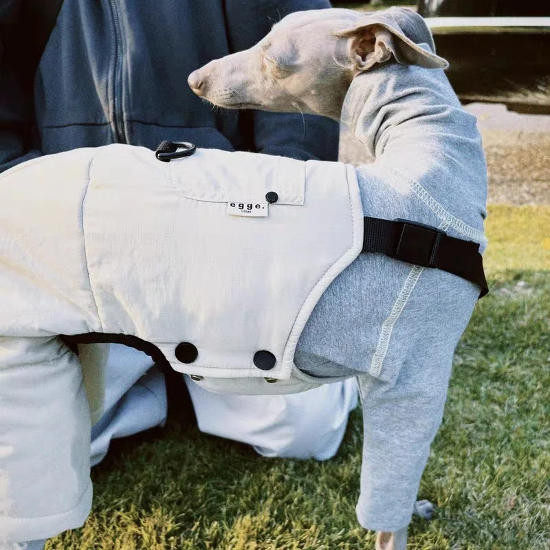 Mono cargo grueso para Galgo Italiano y Whippet – Otoño invierno - imagen 5