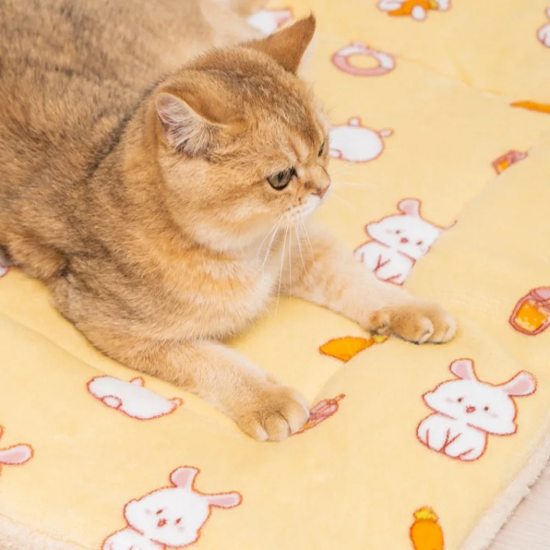 Mantas de cama cálidas de lana para Gato, almohadilla para dormir con estampado bonito para perro, manta para cachorros y gatitos, colcha suave portátil para viajes al aire libre, invierno - imagen 3