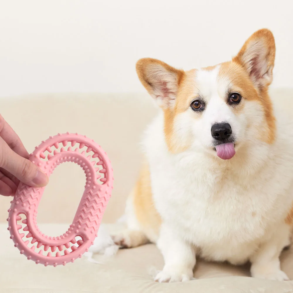 Juguete para masticar para perros indestructible: juguete de limpieza de dientes molares duradero para cachorros y perros adultos, - imagen 4