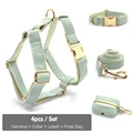 Harness Collar Set
