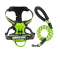 Green Harness Set