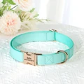 Lgreen collar