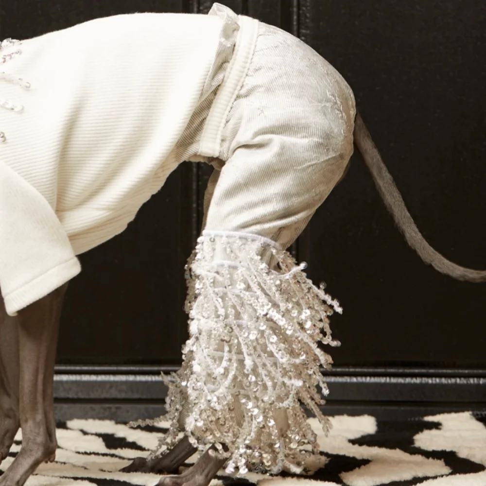 Traje blanco una pieza con flecos para perra Galgo Italiano primavera - imagen 4