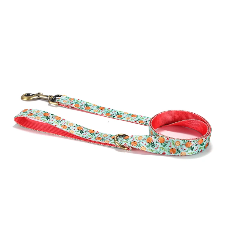 PLATTCO-Collar de poliéster para mascotas, correa con estampado de colores contrastantes, conjunto de Collar para gatos con transferencia de calor, color naranja, paraíso PDC366 - imagen 4