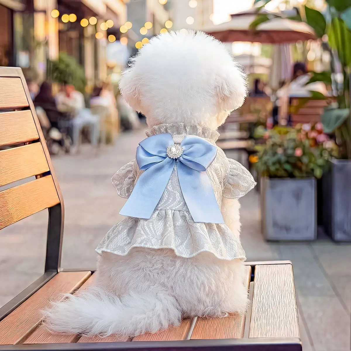 Vestido tutú princesa con encaje y lazo para perro pequeño