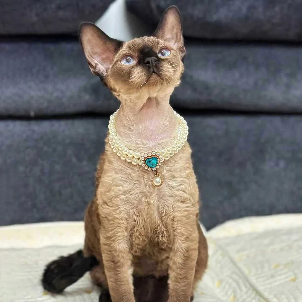 Collar de perlas, joyería para perros pequeños, cachorro, perro, collar de boda para gatos, Chihuahua, Yorkie, trajes de disfraz, accesorios, 2 filas