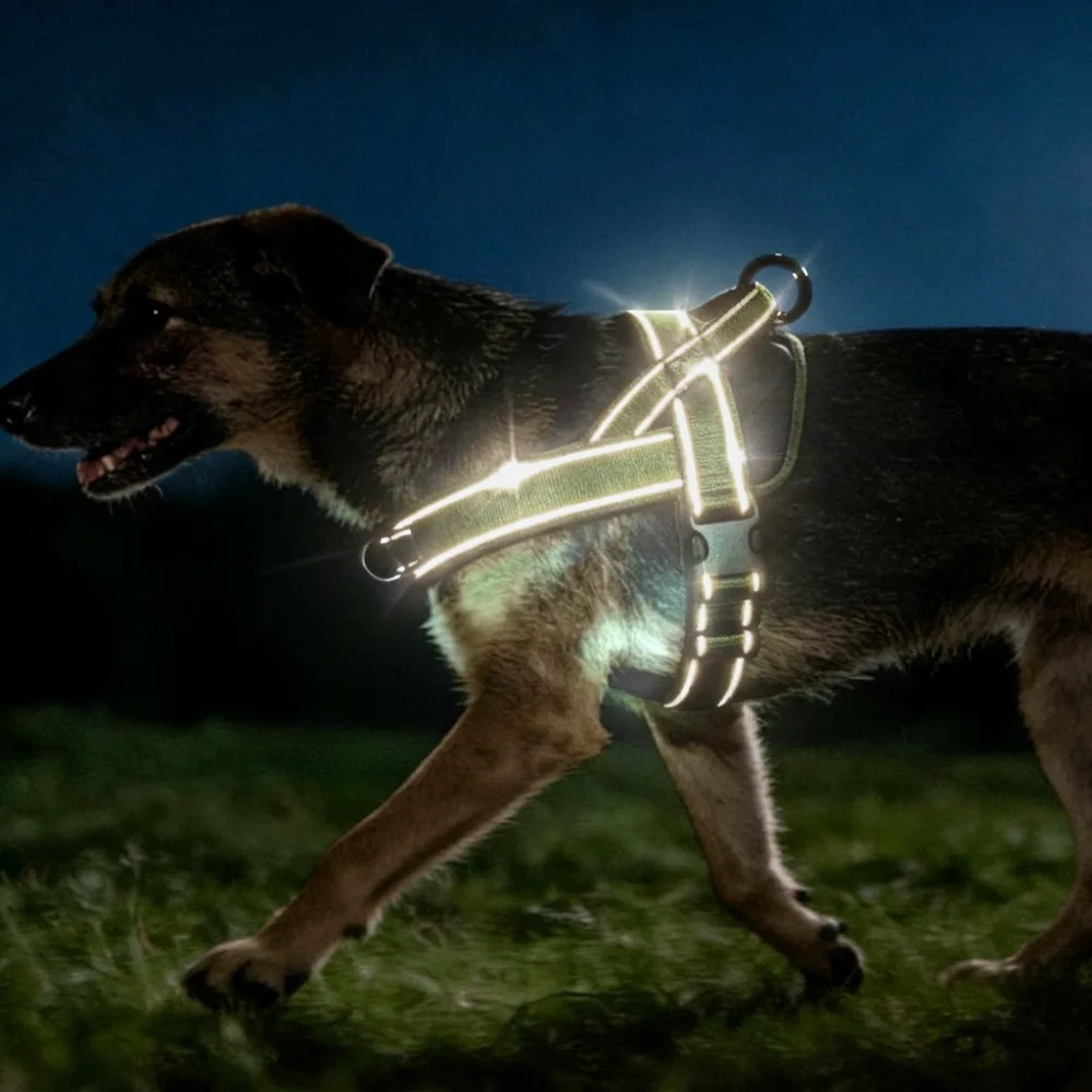 Arnés antitirones acolchado para perros grandes – Control resistente - imagen 4