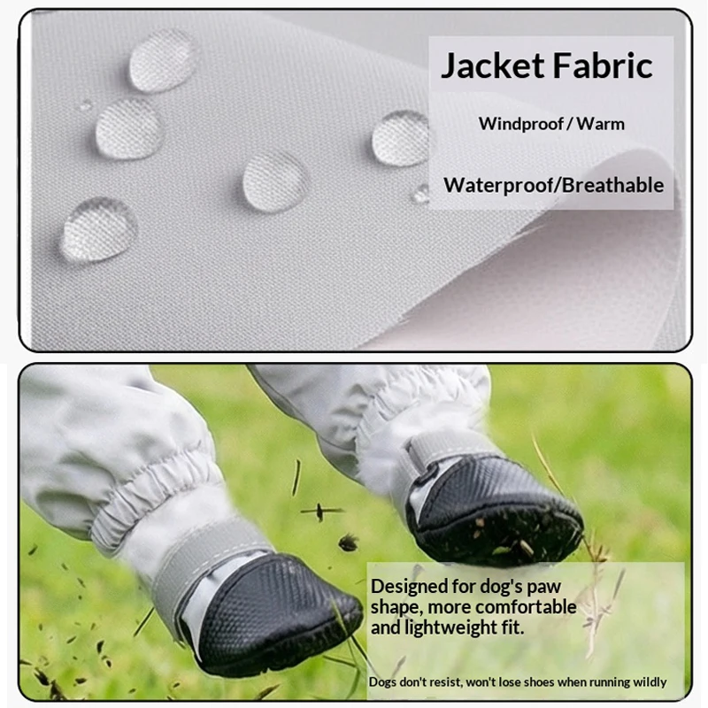 Pantalones impermeables para perros pequeños con protección abdominal - imagen 4