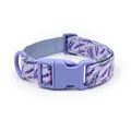 Purple Lavender