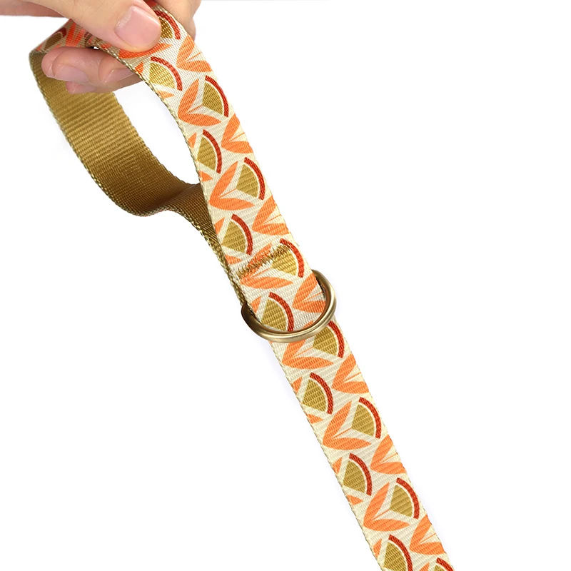 PLATTCO, correa para perro con patrón de moda, correa de nailon estampada para mascotas, cuerda para perros pequeños y medianos, correas suaves para caminar para mascotas PDL352 - imagen 4