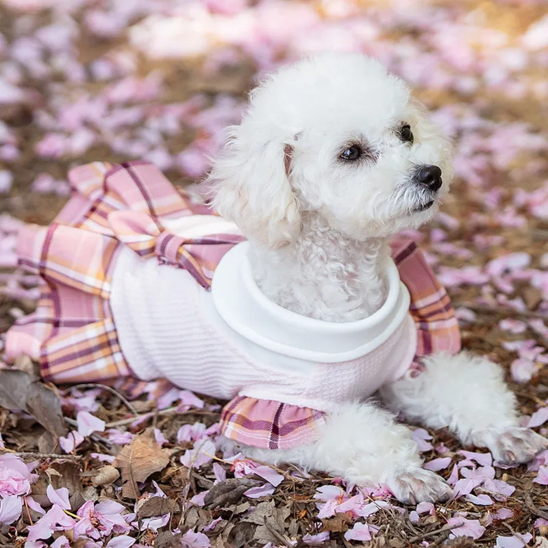 Vestidos de lujo para perros Chihuahua y gatos pequeños - imagen 3