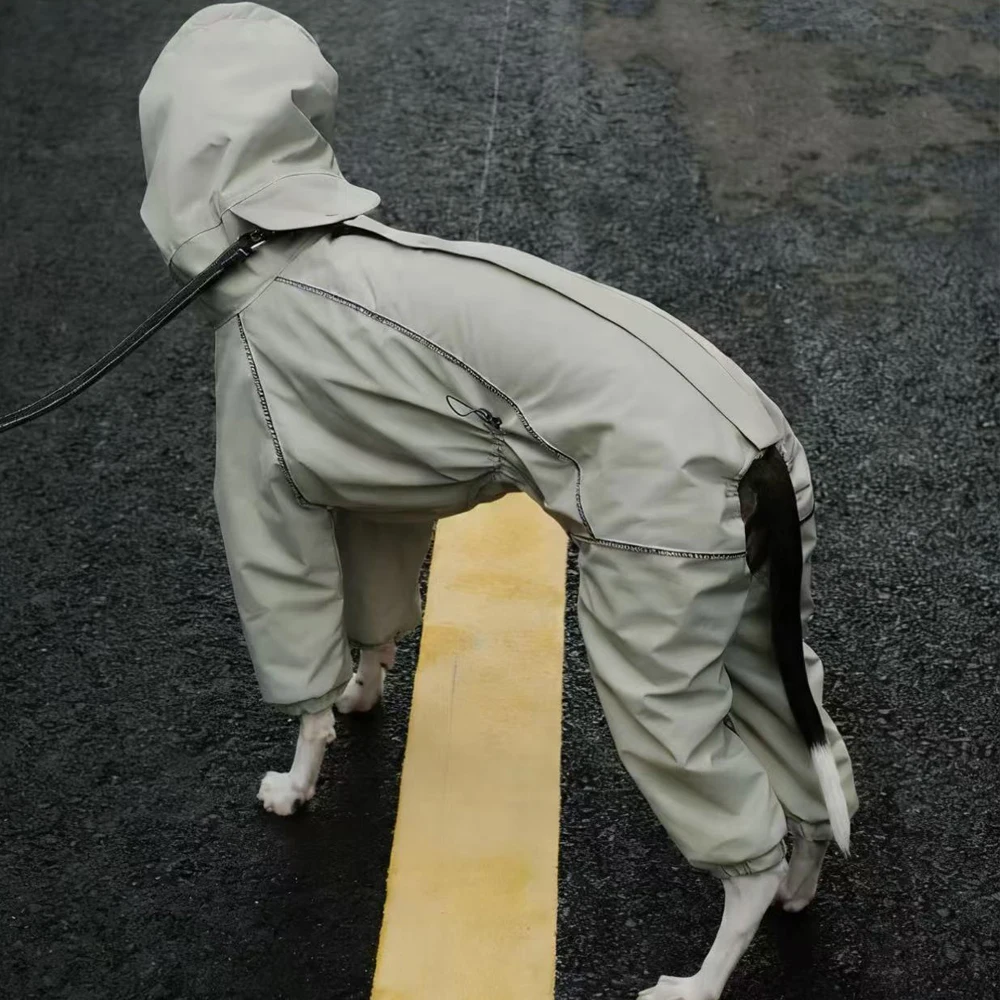 Abrigo reflectante para Whippets y perros pequeños – Cálido e impermeable - imagen 4