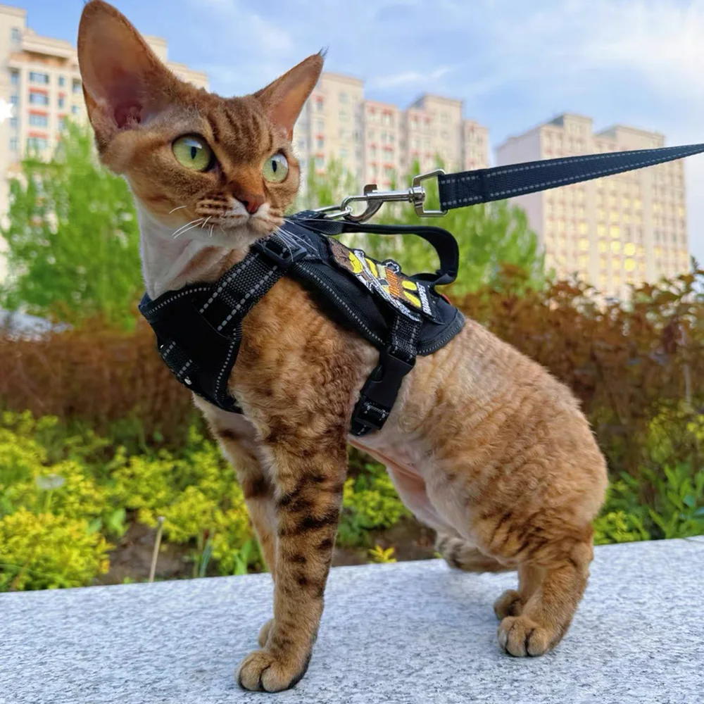 Arnés y correa de mano para gatos Gotas, arneses reflectantes para mascotas con accesorios, soportes para caminar siameses - imagen 4