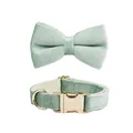 Bow Collar
